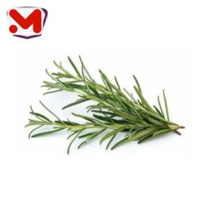 روزمارى خضار حزمة  _ طبق